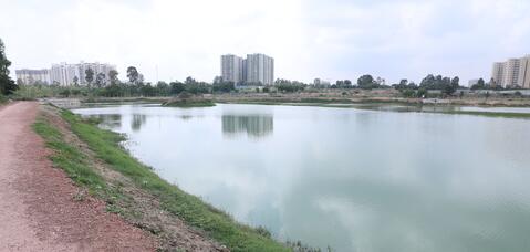 Lake Rejuvenation India