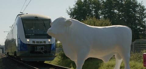 Arte Project Train obstacle (cow)