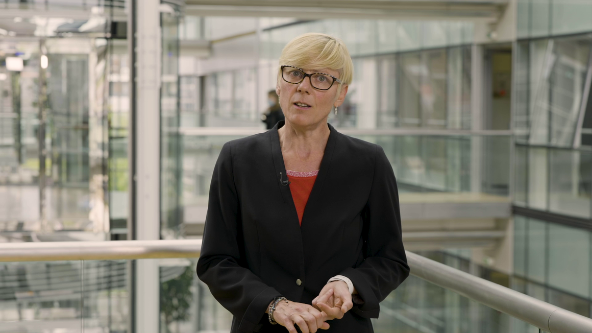 Video thumbnail: The 5 domains of expertise Video thumbnail: The 5 domains of expertise