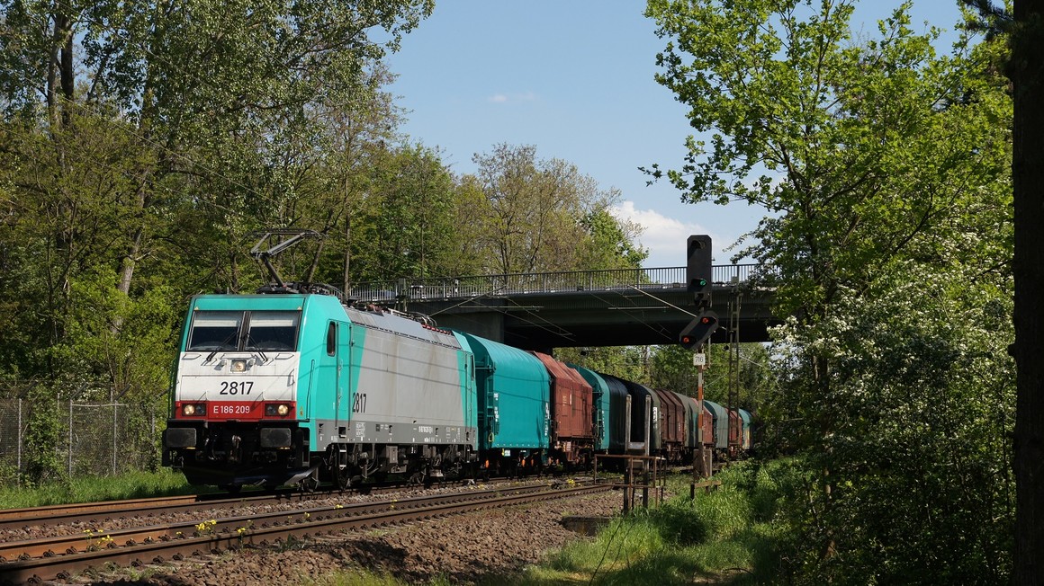 Copyright: Mathias Oestreich Hanau_Großauheim_Mathias_Oestreich_Germany.jpg