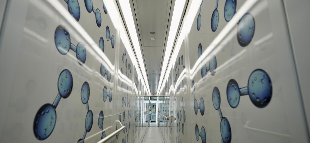 Coradia Stream H for FNM