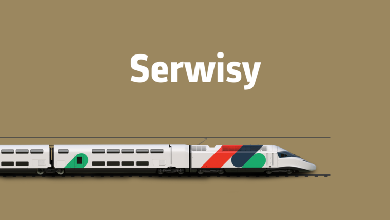 Serwisy