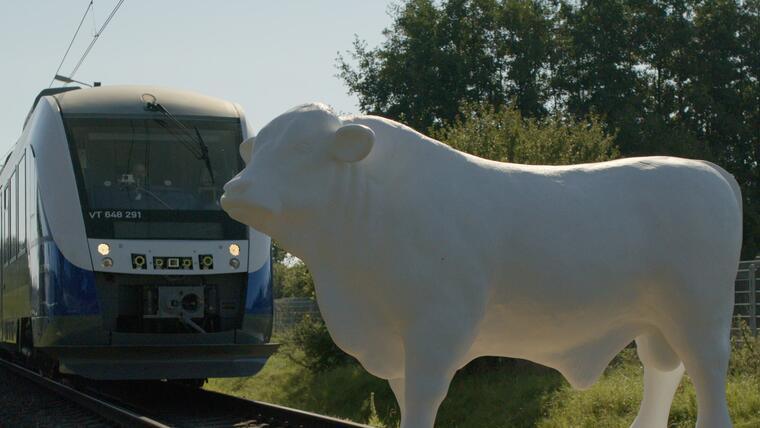 Arte Project Train obstacle (cow)