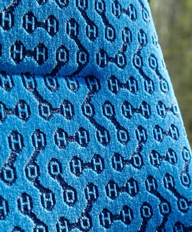 Coradia iLint details