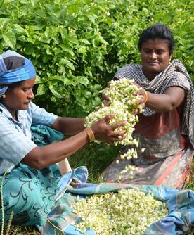 Alstom foundation in India