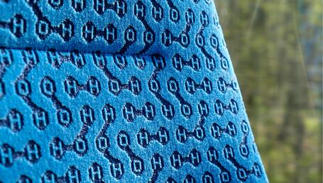 Coradia iLint details