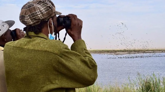 Copyright: Elena Serra Sánchez Typha_Project_Senegal_Foundation.jpg