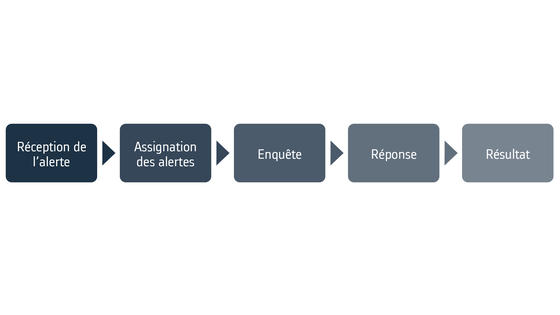 Alstom Ethics investigation Process