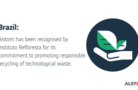 Snac_Brazil_Reforestation.jpg