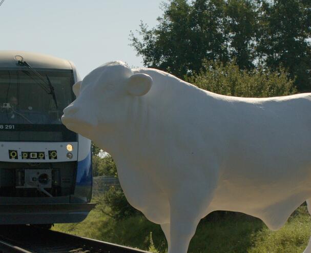 Arte Project Train obstacle (cow)